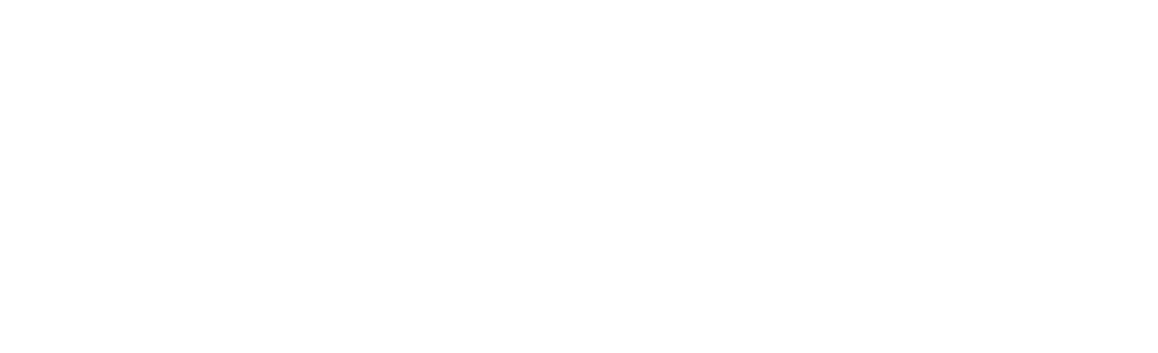 XLOW Logo